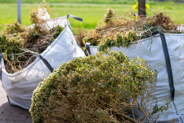 Best Yard Cleanup Services  in Westport, NC